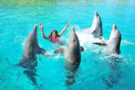 Private Trip & Transfer All Over Egypt