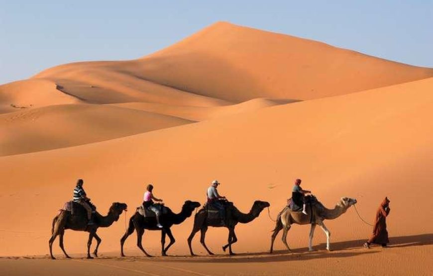 Star & Planet Desert Safari – A Magical Evening under Egypt’s Skies with All Egyptian Trip