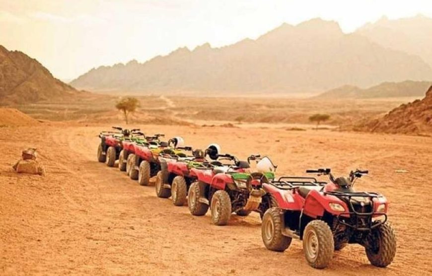 Super Safari – A Desert Day of Adventure and Culture with All Egyptian Trip