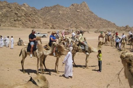 Private Trip & Transfer All Over Egypt