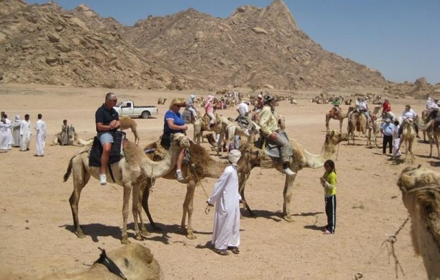 Star & Planet Desert Safari – A Magical Evening under Egypt’s Skies with All Egyptian Trip