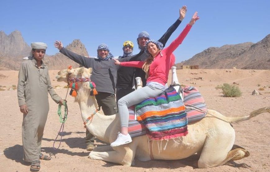 Star & Planet Desert Safari – A Magical Evening under Egypt’s Skies with All Egyptian Trip